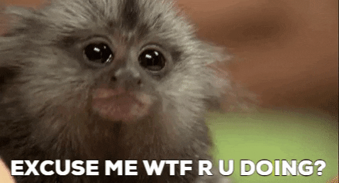 Monkey Wtf GIF by Justin