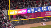 celebrates major league baseball GIF by MLB