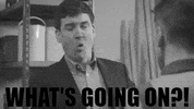 Whats Going On Fah GIF by FoilArmsandHog