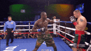 deontay wilder GIF by SHOWTIME Sports
