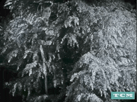 Classic Film Japanese GIF by Turner Classic Movies