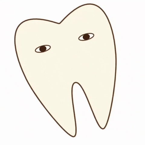 Sika Sozai GIF by dental_sozai