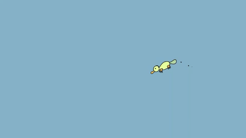 platypus GIF