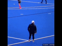 Celly GIF by Endicott Athletics