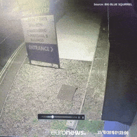 London Truck GIF by euronews