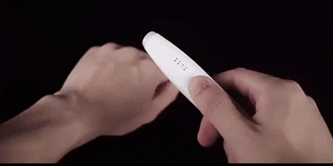 shayanbhatti  GIF