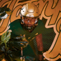 College Football GIF by USF Athletics