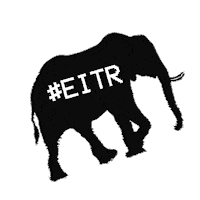 elephantintheroom Sticker by Brand New Church