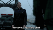 fox broadcasting GIF by Gotham