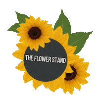 theflowerstand716 flowers sunflowers watering can 716 Sticker