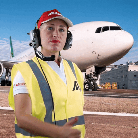 VABESAGIVIAGGI giphyupload GIF