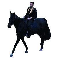 Black Friday V2 Sticker by Clean Nutrition