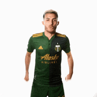 Lets Go Sport GIF by Timbers