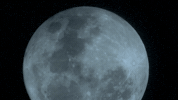symphony for our world GIF by Nat Geo Wild 