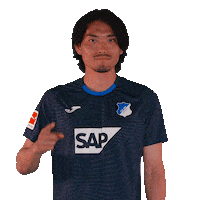 Sport Bundesliga Sticker by TSG Hoffenheim