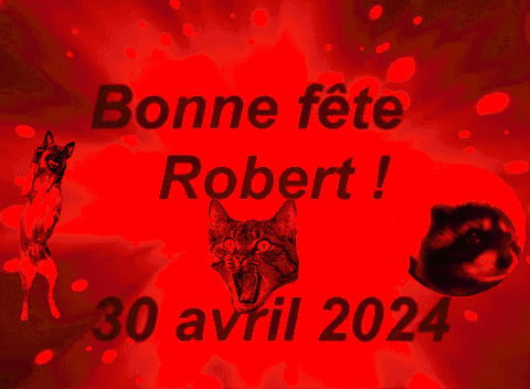 pierre giphygifmaker giphyattribution GIF