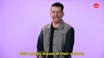 Cats Dream Of Their Owners