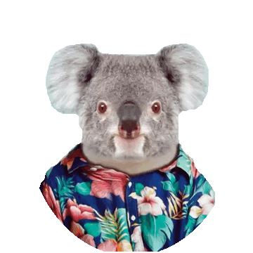 Style Koala Sticker by imoji