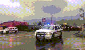 houston part ground cattle horrific GIF