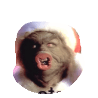 hollydaze GIF by imoji