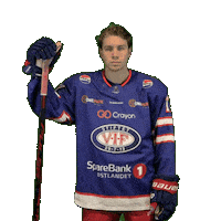 Leo Match Sticker by VIF Hockey