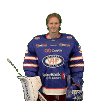 Keeper Joona Sticker by VIF Hockey