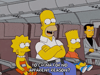 Lisa Simpson GIF by The Simpsons