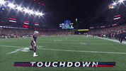 Football Nfl GIF by New England Patriots