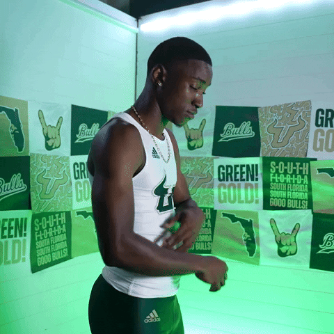 South Florida Horns Up GIF by USF Athletics