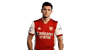 Celebrate London Sticker by Arsenal