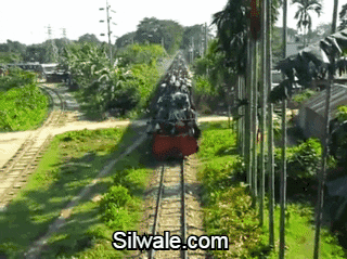 indian train GIF by Silwale