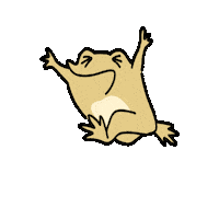 Toad Ddudu Sticker