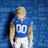 Byu Football Go Cougs GIF by BYU Cougars