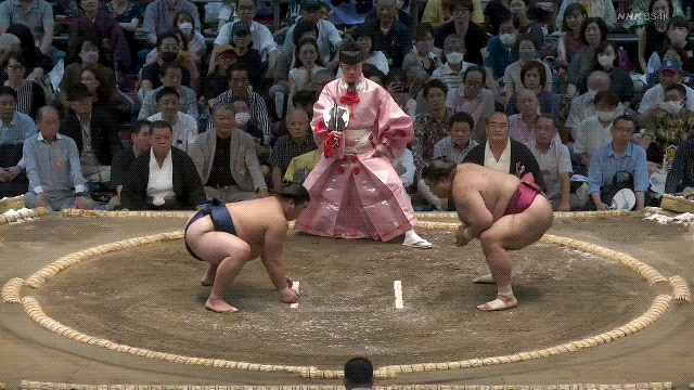 TZ85 giphyupload sumo 2023 nagoya basho hiradoumi GIF
