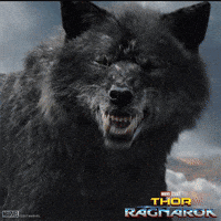 Thor Ragnarok GIF by Marvel Studios