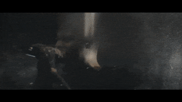 band yell GIF by Epitaph Records