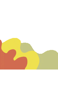 Instagram Orange Sticker