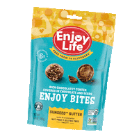 Chocolate Snack Sticker by Enjoy Life Foods