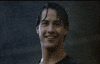 Keanu Reeves GIF by Giphy QA