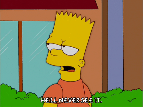 bart simpson episode 10 GIF