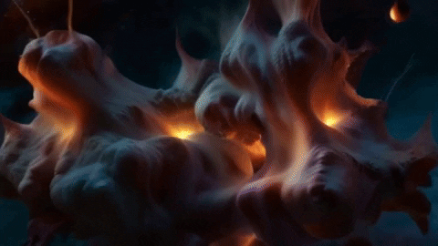 GIF by MFD