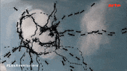art skull GIF by ARTEfr