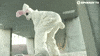 dance twerk GIF by Spinnin' Records