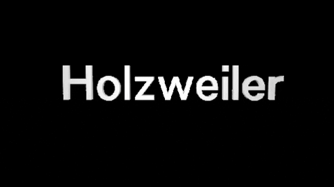 Holzweiler giphygifmaker holz holzweiler hzw GIF