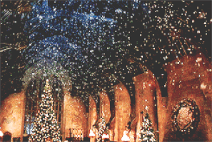 hp edit GIF