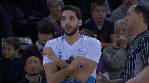 liga endesa basketball GIF by ACB