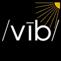 VibCycle giphygifmaker giphyattribution vib cycle vibe cycle GIF