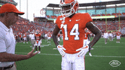 Accfootball GIF by The ACC