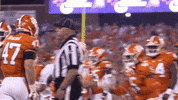 Accfootball GIF by The ACC