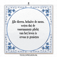 Moment Wijsheid GIF by Tegelspreuken.nl